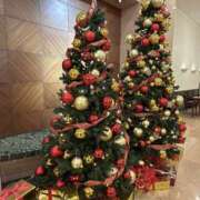 ヒメ日記 2025/12/20 07:12 投稿 島田　彩 エンジェルコースト