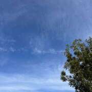 ヒメ日記 2025/12/31 12:15 投稿 島田　彩 エンジェルコースト