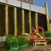 ヒメ日記 2025/12/31 12:24 投稿 島田　彩 エンジェルコースト