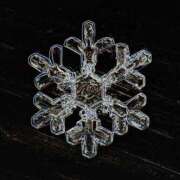 ヒメ日記 2026/01/02 18:04 投稿 島田　彩 エンジェルコースト