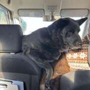 ヒメ日記 2026/01/05 09:03 投稿 島田　彩 エンジェルコースト