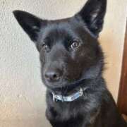 ヒメ日記 2026/01/07 16:08 投稿 島田　彩 エンジェルコースト