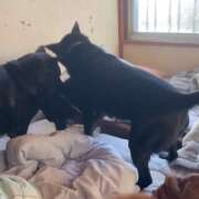 ヒメ日記 2026/01/10 08:45 投稿 島田　彩 エンジェルコースト