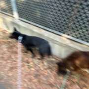 ヒメ日記 2026/01/16 10:58 投稿 島田　彩 エンジェルコースト