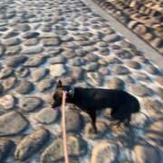 ヒメ日記 2026/01/16 11:53 投稿 島田　彩 エンジェルコースト