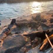 ヒメ日記 2026/01/16 20:20 投稿 島田　彩 エンジェルコースト