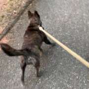 ヒメ日記 2026/01/17 08:09 投稿 島田　彩 エンジェルコースト