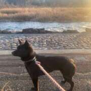 ヒメ日記 2026/01/17 13:25 投稿 島田　彩 エンジェルコースト