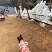 ヒメ日記 2026/01/20 13:17 投稿 島田　彩 エンジェルコースト