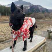 ヒメ日記 2026/01/22 06:03 投稿 島田　彩 エンジェルコースト