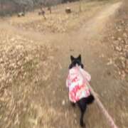 ヒメ日記 2026/01/23 09:02 投稿 島田　彩 エンジェルコースト