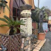 ヒメ日記 2026/01/27 09:49 投稿 島田　彩 エンジェルコースト