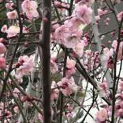 ヒメ日記 2026/01/29 08:05 投稿 島田　彩 エンジェルコースト