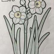 ヒメ日記 2026/01/29 14:45 投稿 島田　彩 エンジェルコースト