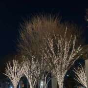 ヒメ日記 2026/01/29 20:04 投稿 島田　彩 エンジェルコースト