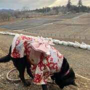 ヒメ日記 2026/01/30 07:17 投稿 島田　彩 エンジェルコースト