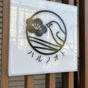 ヒメ日記 2026/02/04 14:04 投稿 島田　彩 エンジェルコースト