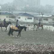 ヒメ日記 2026/02/07 13:44 投稿 島田　彩 エンジェルコースト