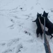 ヒメ日記 2026/02/08 10:01 投稿 島田　彩 エンジェルコースト