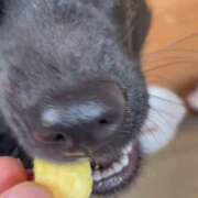 ヒメ日記 2026/02/08 16:06 投稿 島田　彩 エンジェルコースト