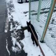 ヒメ日記 2026/02/08 16:30 投稿 島田　彩 エンジェルコースト