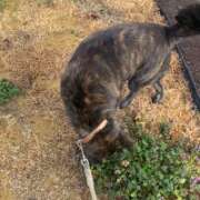 ヒメ日記 2026/02/12 11:13 投稿 島田　彩 エンジェルコースト