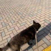 ヒメ日記 2026/02/12 14:16 投稿 島田　彩 エンジェルコースト