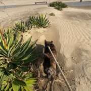 ヒメ日記 2026/02/12 16:34 投稿 島田　彩 エンジェルコースト