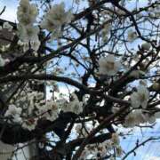 ヒメ日記 2026/02/20 13:07 投稿 島田　彩 エンジェルコースト