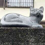 ヒメ日記 2026/02/22 18:21 投稿 島田　彩 エンジェルコースト