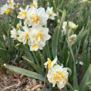 ヒメ日記 2026/02/24 17:14 投稿 島田　彩 エンジェルコースト