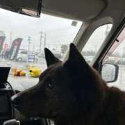 ヒメ日記 2026/02/26 08:25 投稿 島田　彩 エンジェルコースト