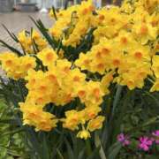 ヒメ日記 2026/02/27 09:48 投稿 島田　彩 エンジェルコースト