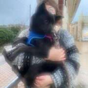 ヒメ日記 2026/02/27 16:49 投稿 島田　彩 エンジェルコースト