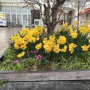 ヒメ日記 2026/03/05 09:06 投稿 島田　彩 エンジェルコースト