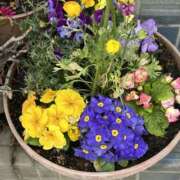 ヒメ日記 2026/03/06 16:52 投稿 島田　彩 エンジェルコースト