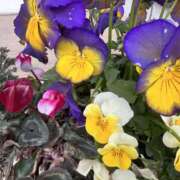 ヒメ日記 2026/03/07 23:44 投稿 島田　彩 エンジェルコースト