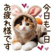 ヒメ日記 2026/03/14 22:50 投稿 島田　彩 エンジェルコースト