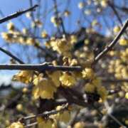 ヒメ日記 2026/03/17 22:35 投稿 島田　彩 エンジェルコースト