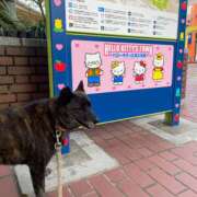 ヒメ日記 2026/03/18 16:12 投稿 島田　彩 エンジェルコースト