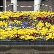 ヒメ日記 2026/03/20 12:35 投稿 島田　彩 エンジェルコースト