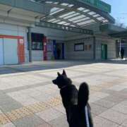 ヒメ日記 2026/03/24 08:49 投稿 島田　彩 エンジェルコースト