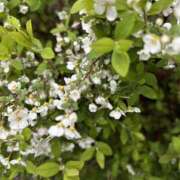 ヒメ日記 2026/03/27 18:09 投稿 島田　彩 エンジェルコースト