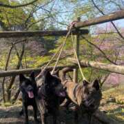 ヒメ日記 2026/03/29 10:02 投稿 島田　彩 エンジェルコースト