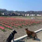 ヒメ日記 2026/03/29 17:18 投稿 島田　彩 エンジェルコースト