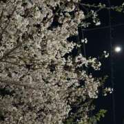 ヒメ日記 2026/04/03 09:01 投稿 島田　彩 エンジェルコースト