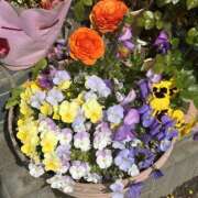 ヒメ日記 2026/04/07 22:59 投稿 島田　彩 エンジェルコースト