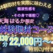 ヒメ日記 2026/04/10 14:01 投稿 島田　彩 エンジェルコースト