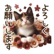 ヒメ日記 2026/04/10 18:28 投稿 島田　彩 エンジェルコースト