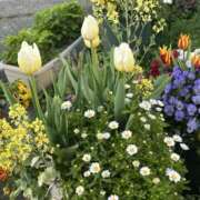 ヒメ日記 2026/04/14 09:22 投稿 島田　彩 エンジェルコースト